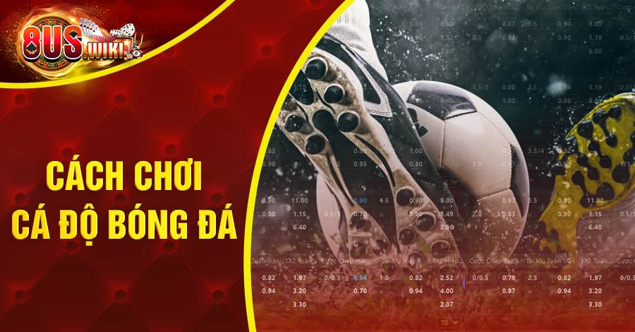 Cách Chơi Cá Độ Bóng Đá Đạt Tỷ Lệ Thắng Cao Từ Chuyên Gia 1 8US.VN Cách chơi cá độ bóng đá