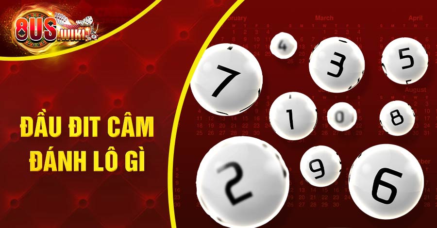 Đầu Đít Câm Đánh Lô Gì Hiệu Quả Giúp Vào Bờ Thành Công 10 8US.VN Đầu đít câm đánh lô gì