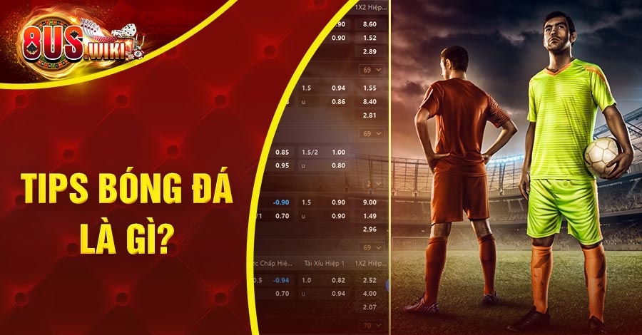 tim hieu tips bong da la gi 8US.VN